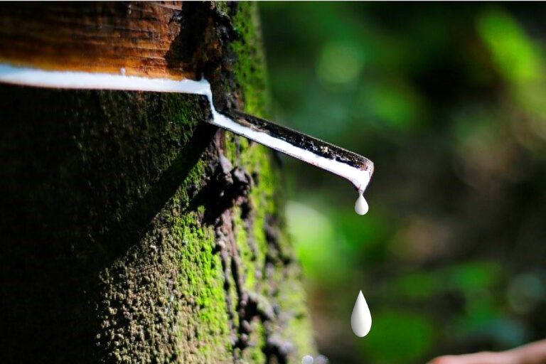 How Latex Allergies Occur, and How To Prevent Them